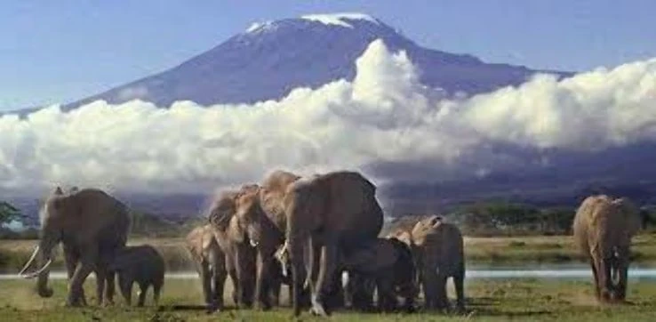 Amboseli National Park
