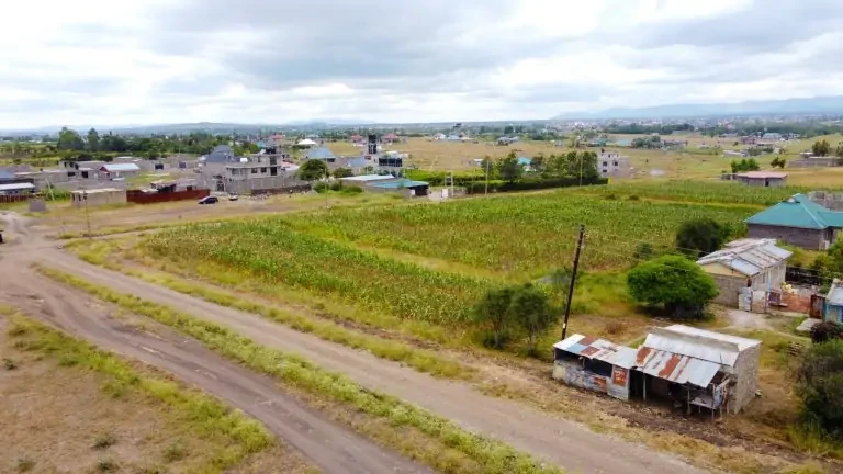 Prime plots in Joska