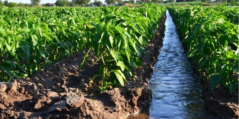 Land for sale in Kitiri near River Kinja
