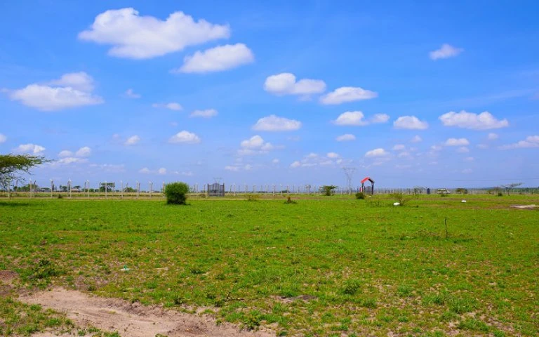 Expansive farmland in Kamulu