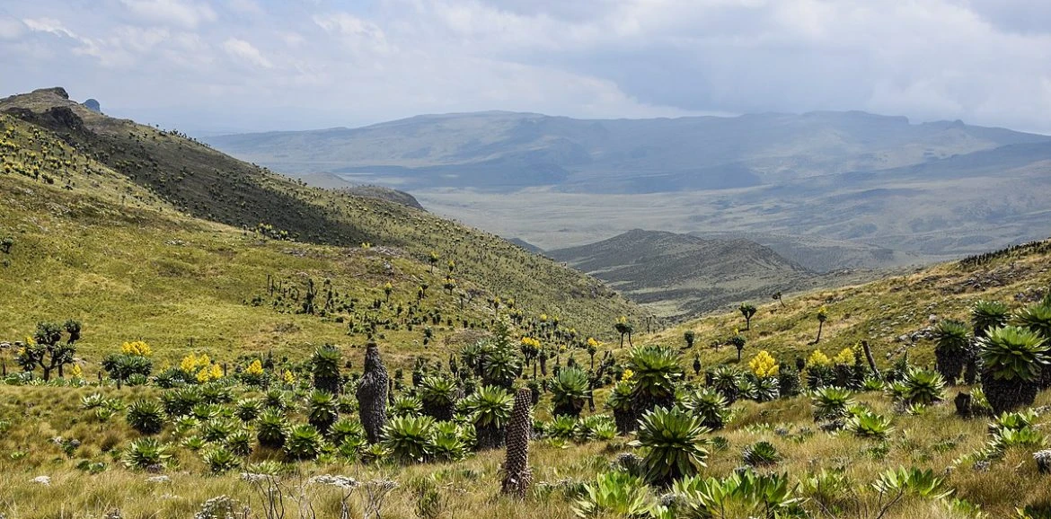 Arbedare National Park
