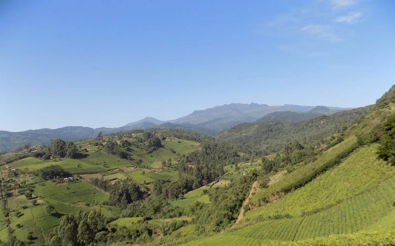 Prime Muranga land for sale in Muranga