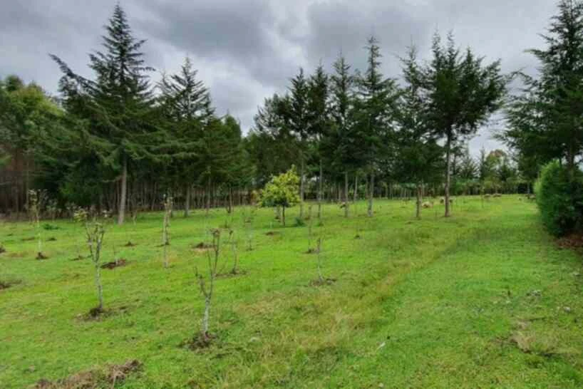 Prime land for sale in Nyandarua