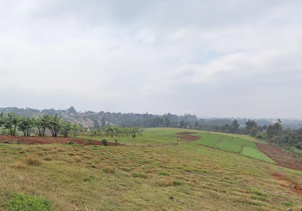 Affordable land for sale in Muranga