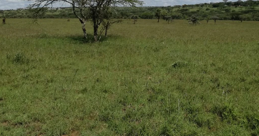 Affordable land for sale in Oloitokito