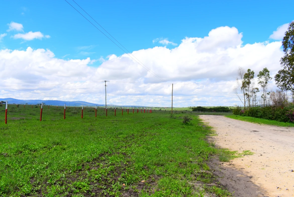 Serene Gardens affordable plots in Joska