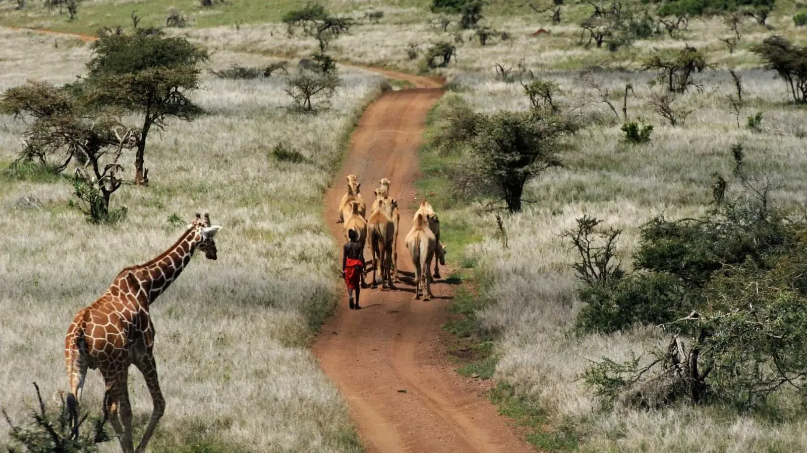 Laikipia Plateau Reserve