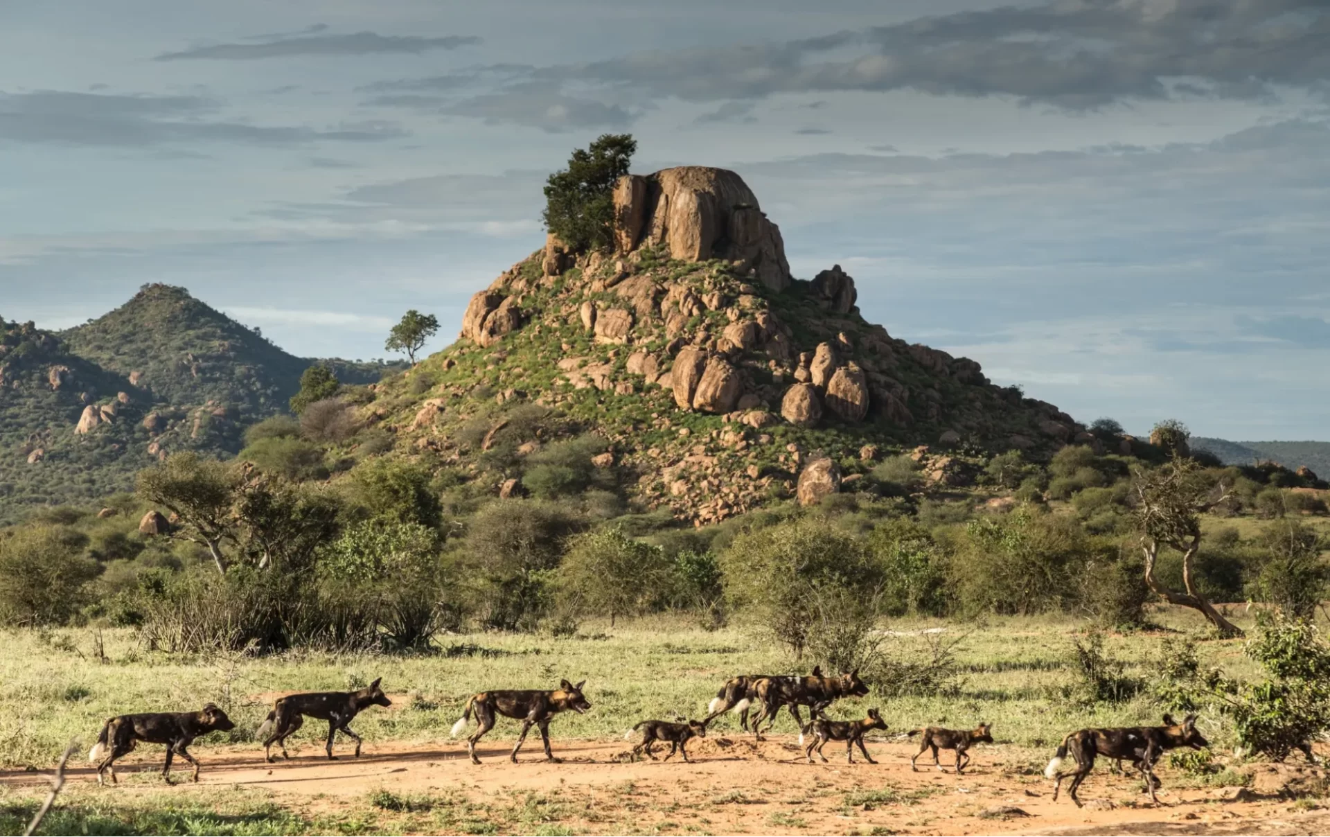 Panoramic scenic view of a section of The Laikipia Plateau