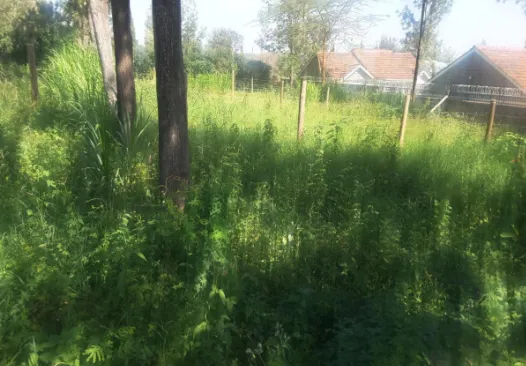 Prime plots for sale in Rongai