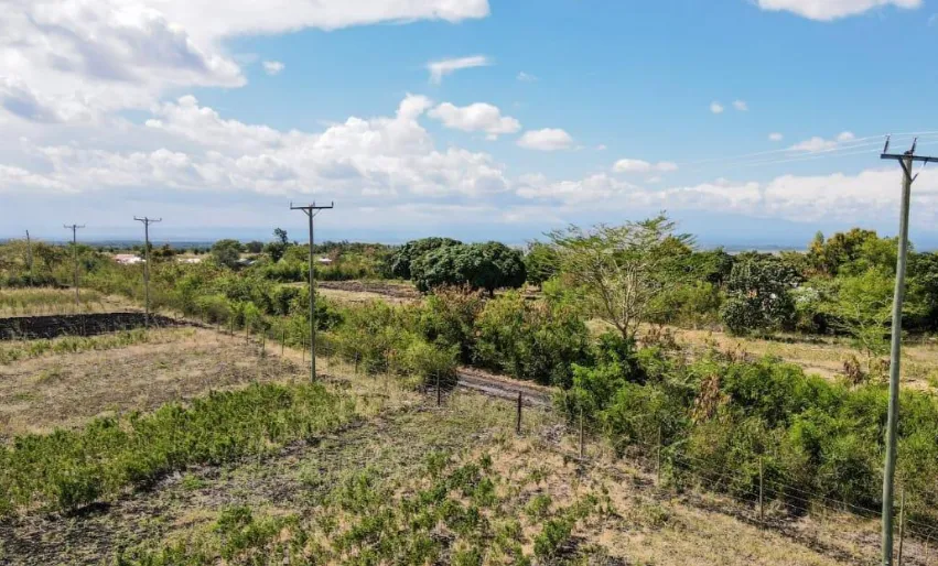 Residential plots for sale in Sagana