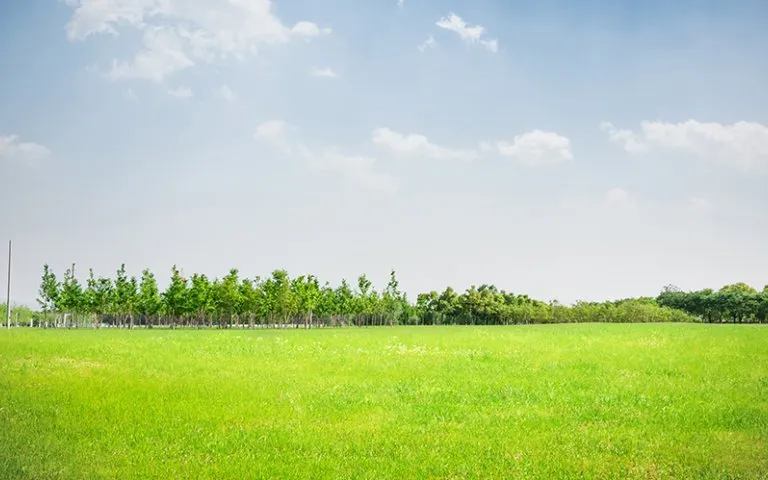 50*100 residential plots for sale in Rumuruti, Laikipia, Kenya