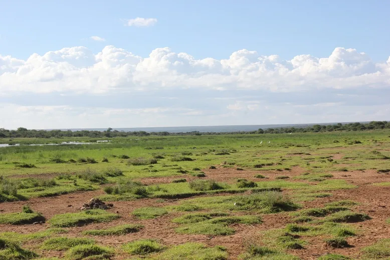 Land for sale in Laikipia