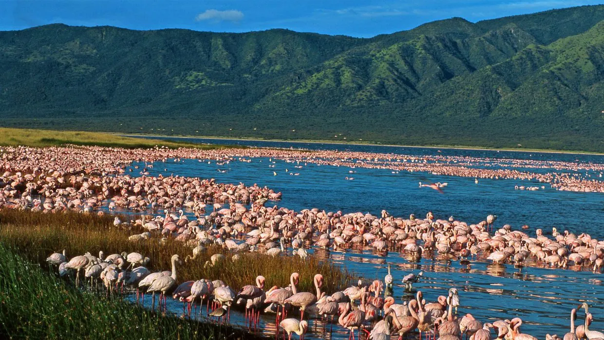 Lake Elementaita