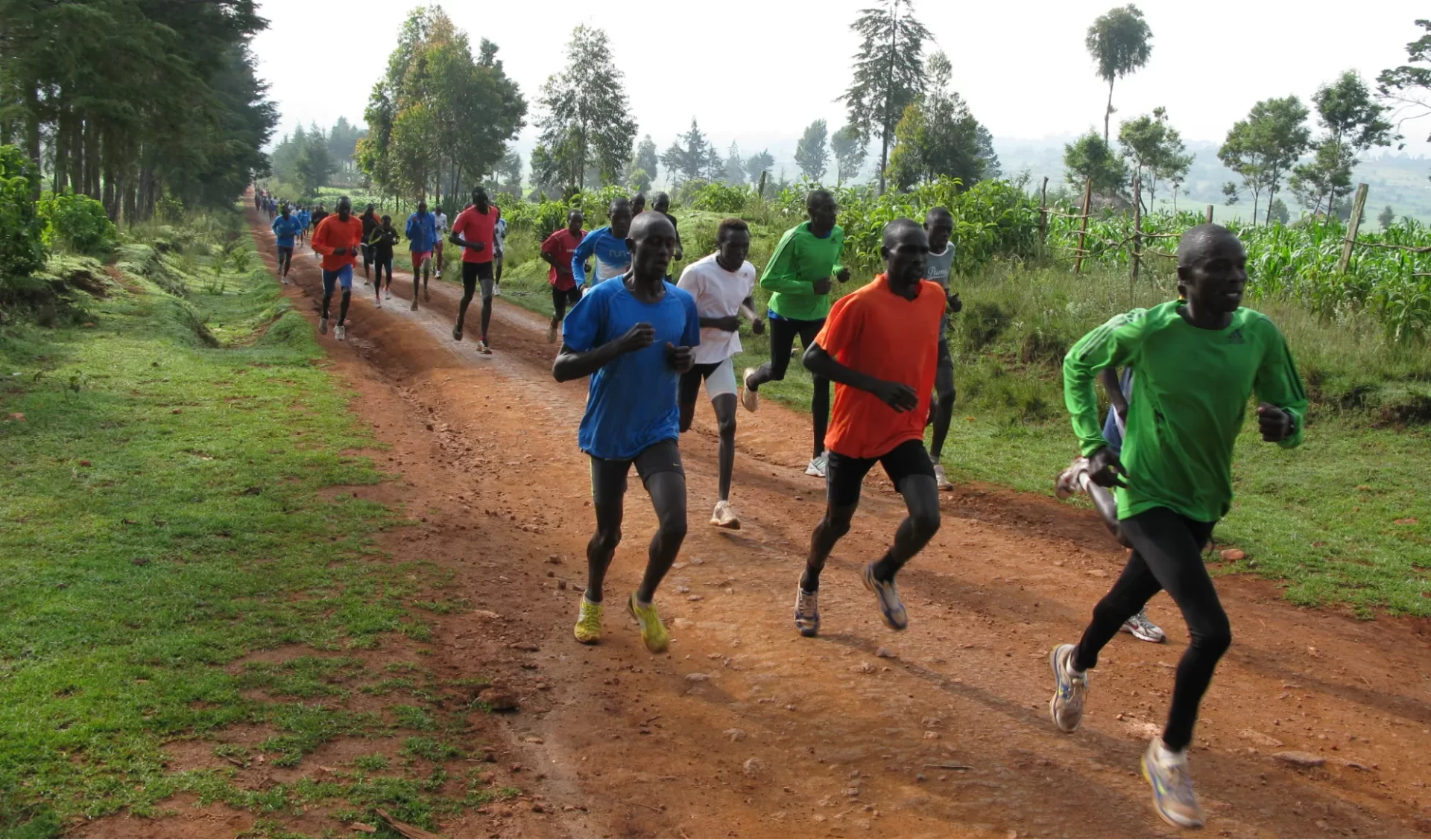 Kenyan marathoners and cross-country runners training