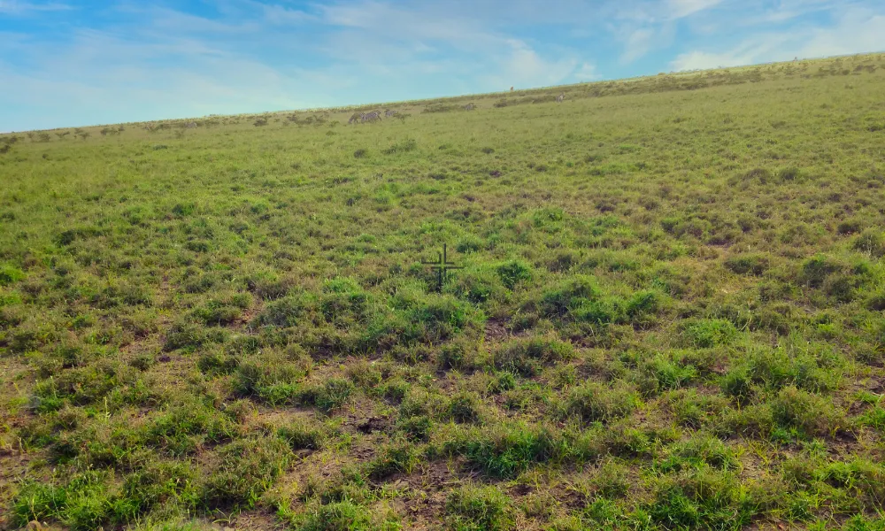 Prime plots for sale in Elementaita Gilgil