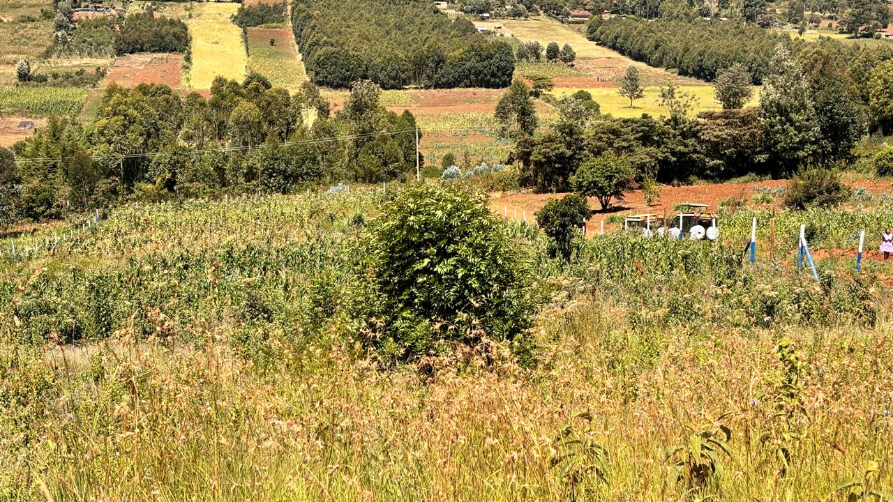 50 BY 100 PLOTS FOR SALE IN KIKUYU, THIGIO.