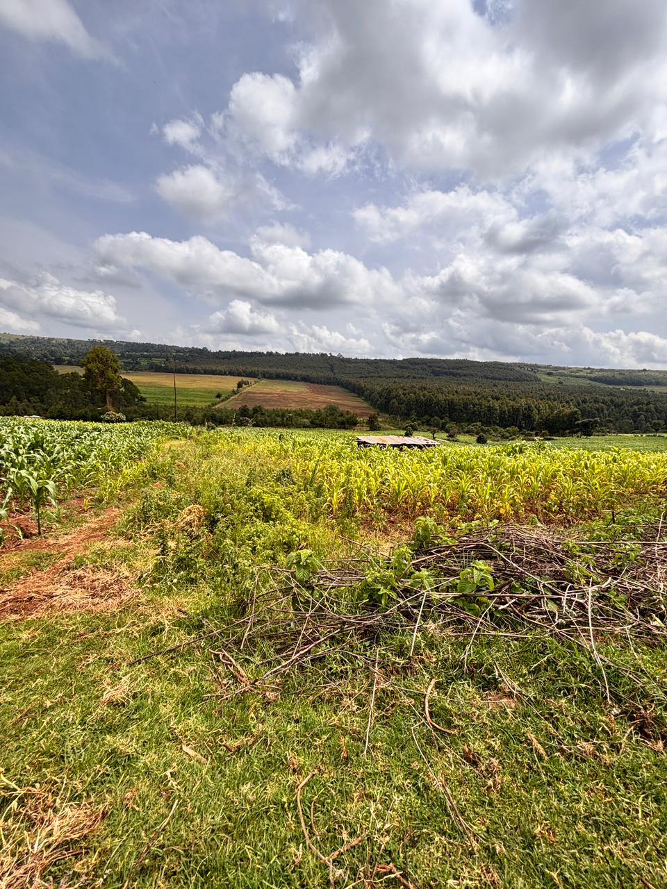 100 BY 100 PLOTS FOR SALE IN KINANGOP, ENGINEER