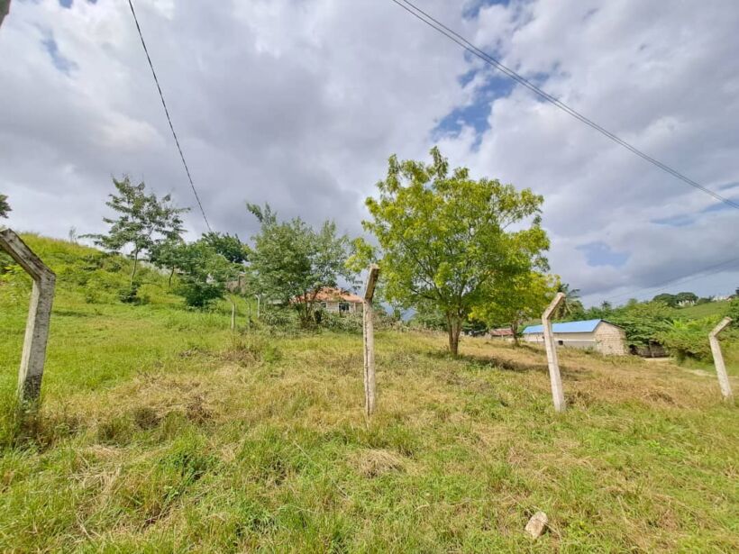 50 BY 100 PLOTS FOR SALE IN NAIVASHA, KARAGITA.