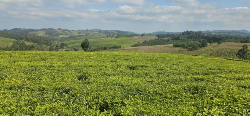 1 ACRE FOR SALE IN KERICHO COUNTY, SIGOWET-SOIN.