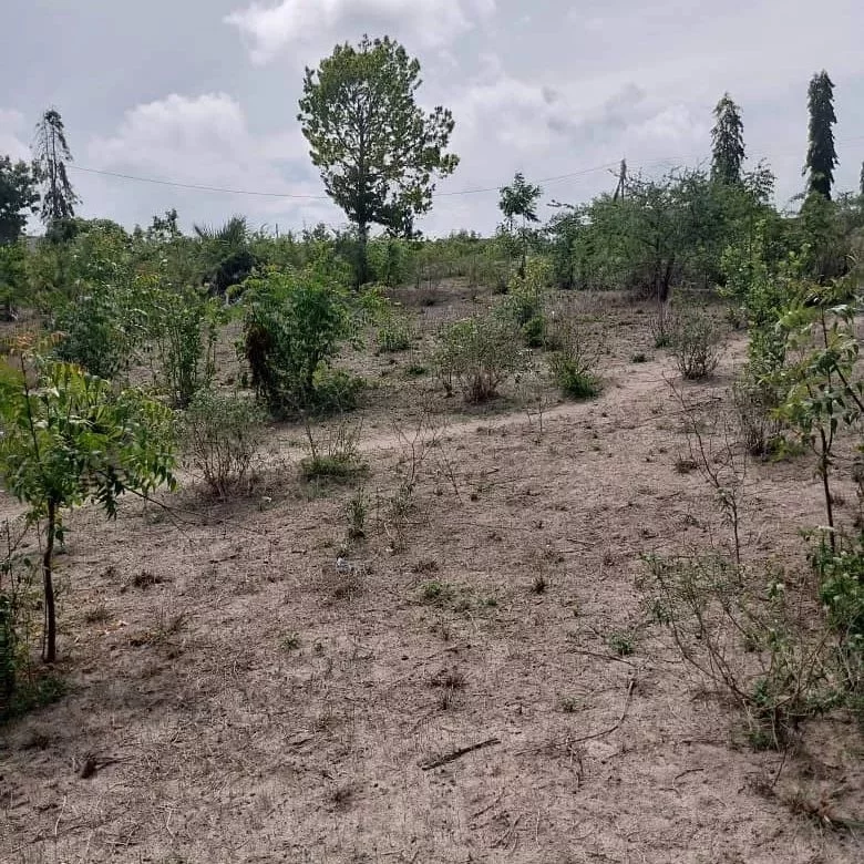 50 BY 100 PLOTS FOR SALE IN YATTA, MATUU WARD.