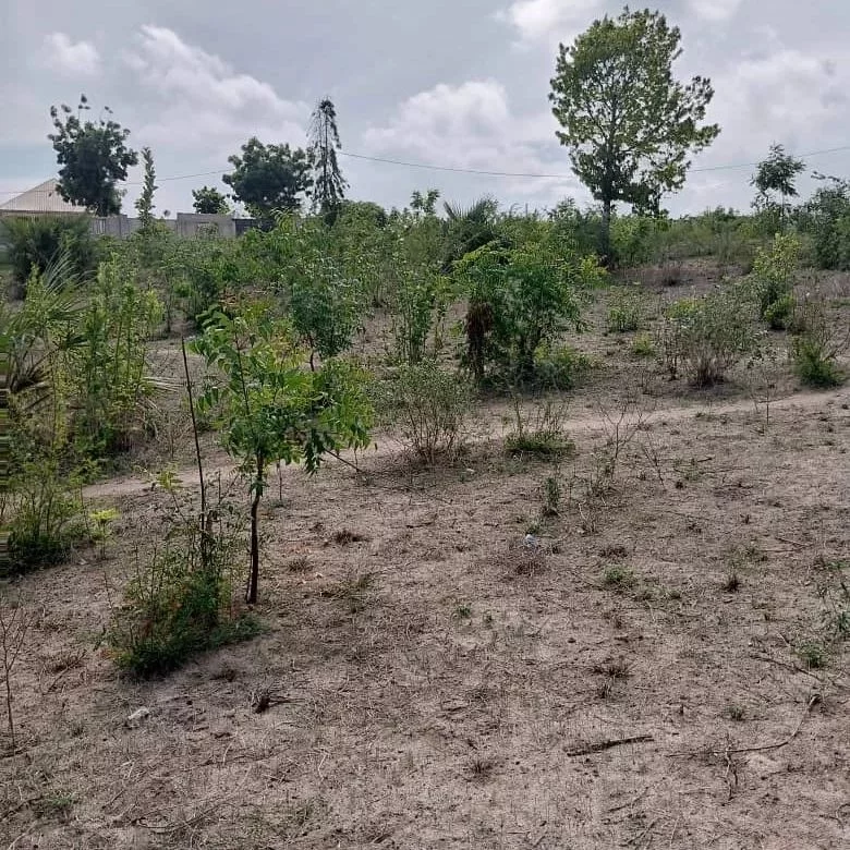 50 BY 100 PLOTS FOR SALE IN YATTA, MATUU WARD.