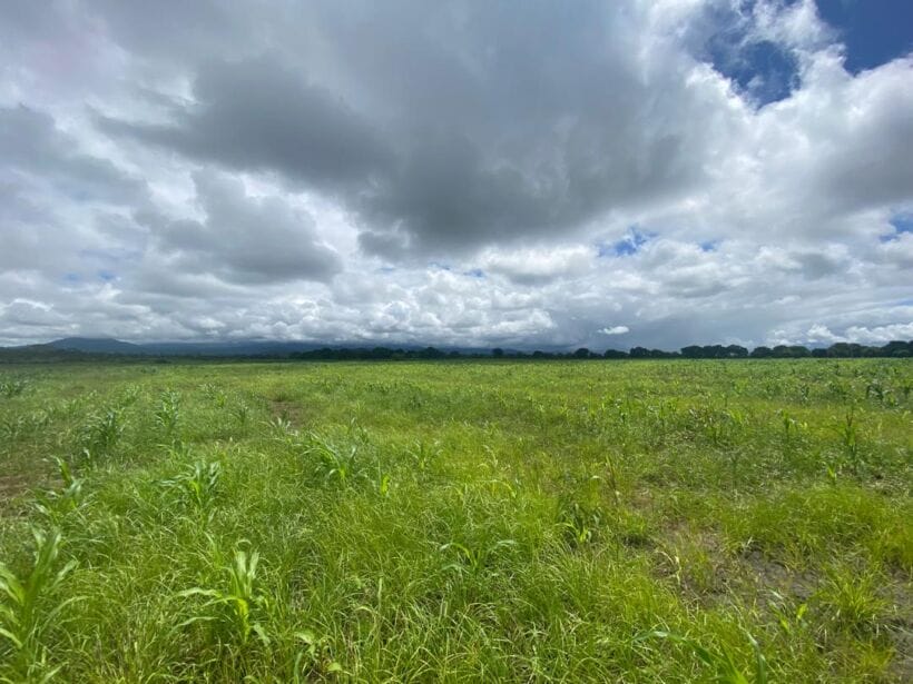 5 ACRES FOR SALE IN MWEA, THIBA.