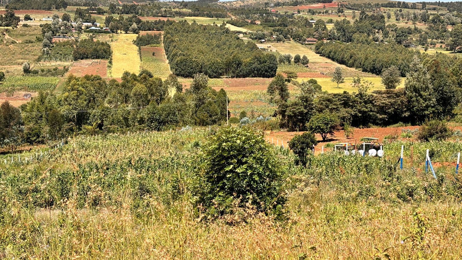 50 BY 100 PLOTS FOR SALE IN KIKUYU, THIGIO.