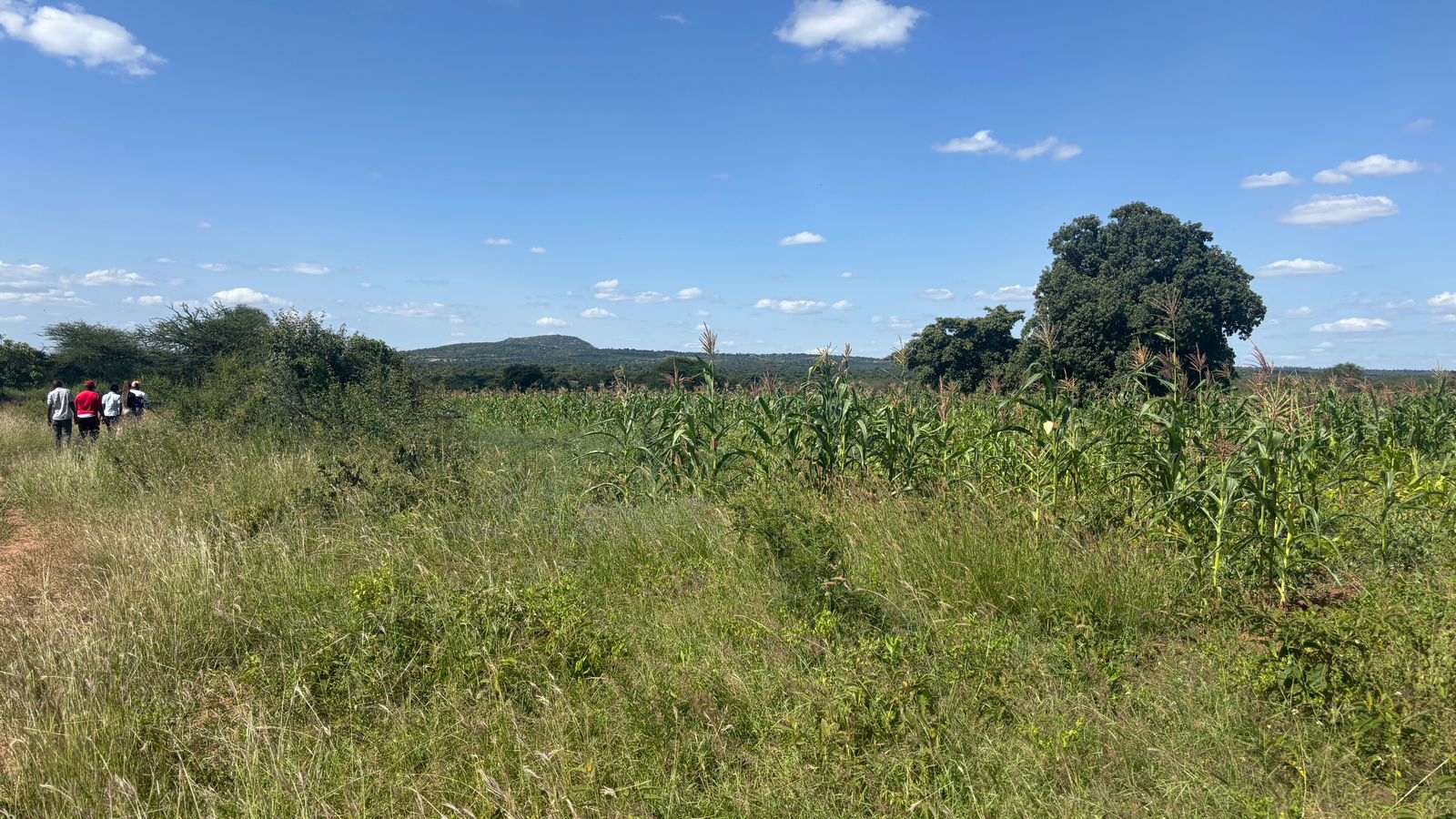 LAND FOR SALE IN MACHAKOS, MASINGA.