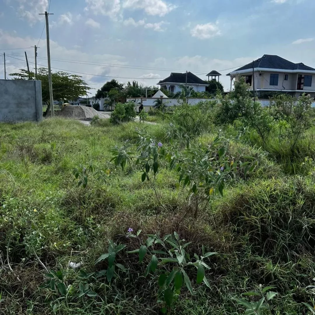 50 BY 100 PLOTS FOR SALE IN JUJA, MURERA.