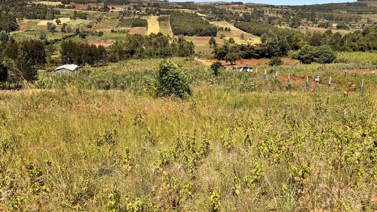 50 BY 100 PLOTS FOR SALE IN KIKUYU, THIGIO.