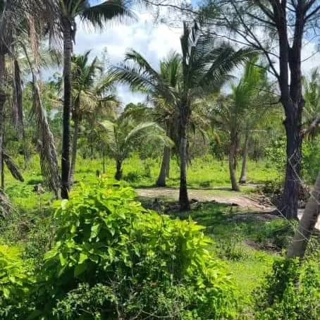Plot for sale in Mombasa