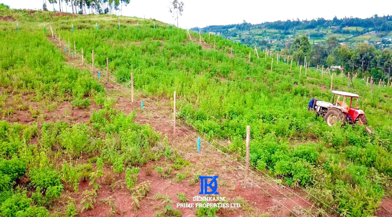 Plots for Sale in Thigio, Kikuyu - Velma II Estate