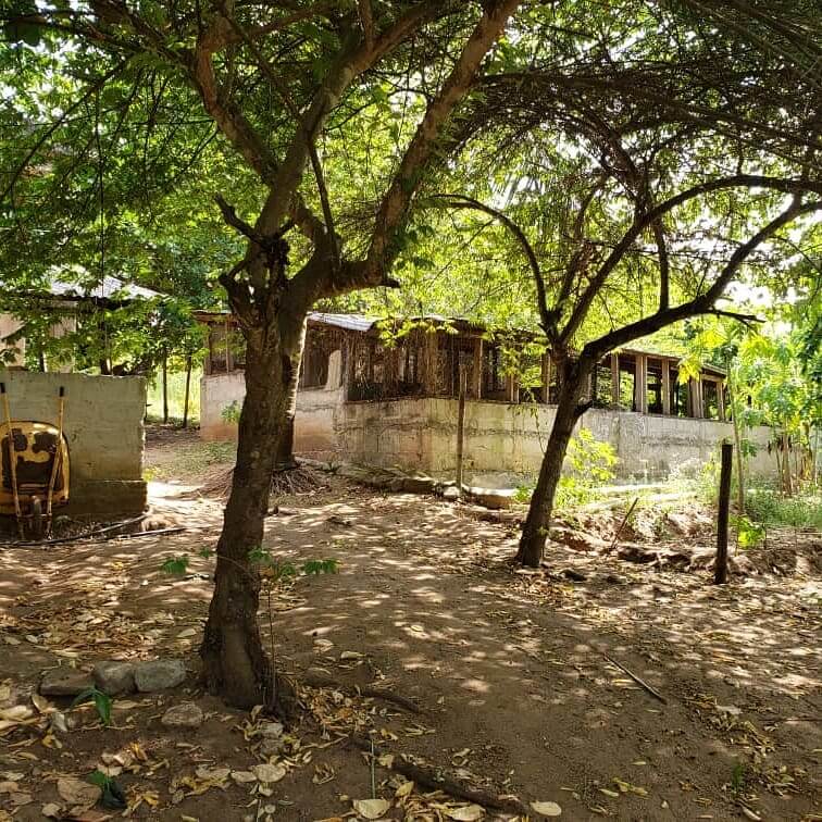 Land for sale in Muranga
