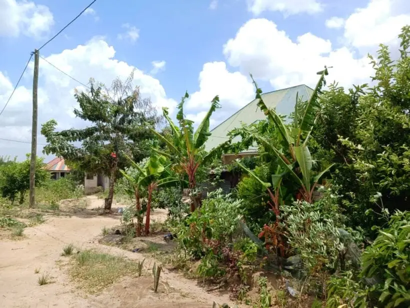 Plot for sale in Murunga