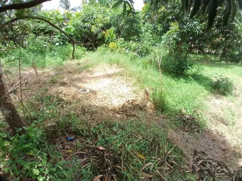 Plot for sale in Murunga