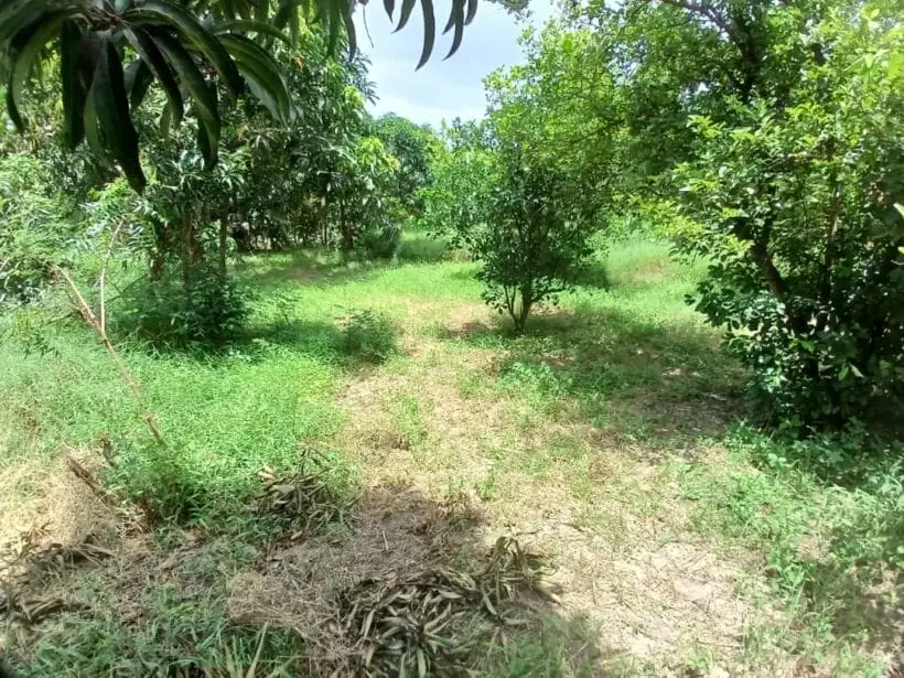 Plot for sale in Murunga