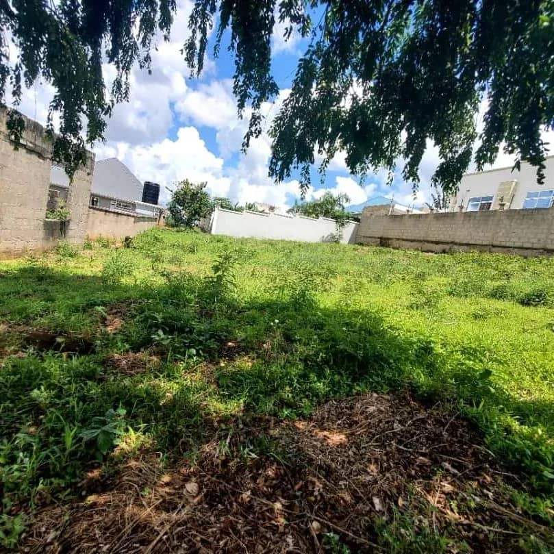 Plot for sale in Murunga