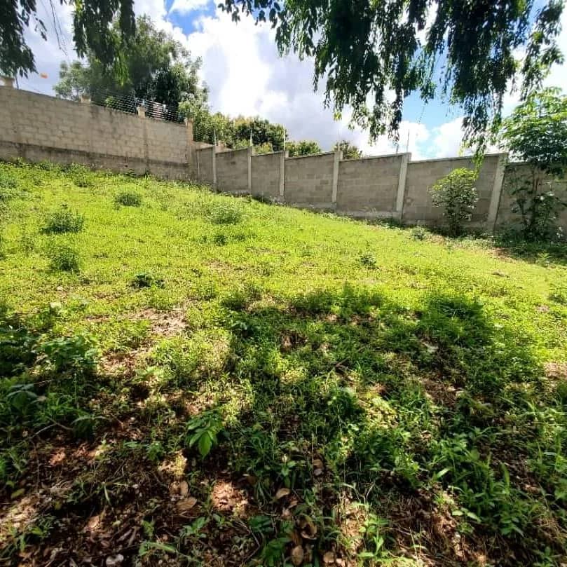 Plot for sale in Murunga