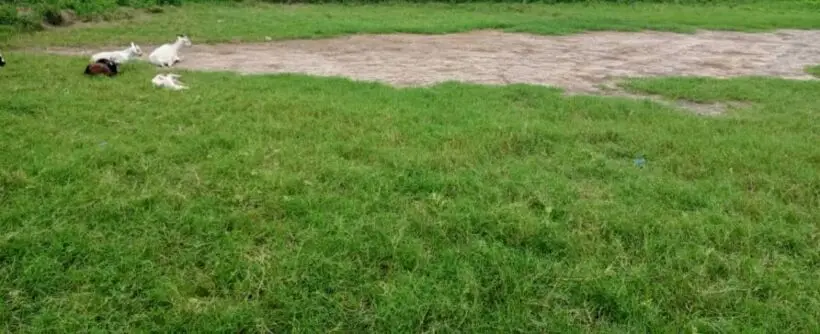 Plot for sale in Kajiado