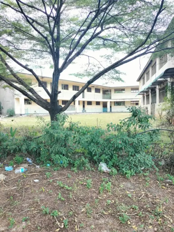 PLOT FOR SALE IN KIAMBU