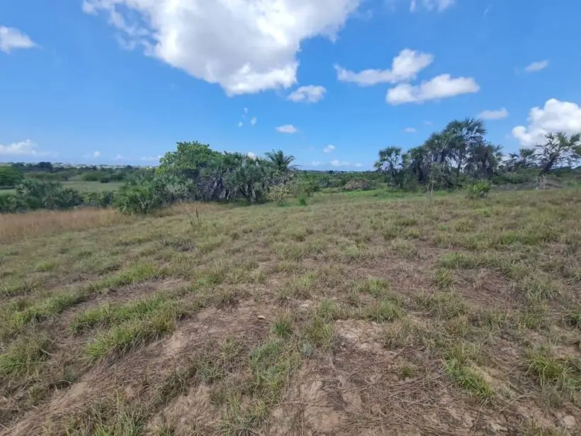Plot for sale in Nyeri