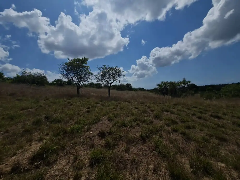Plot for sale in Nyeri