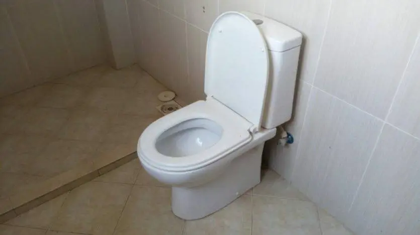 5 BEDROOM HOUSE FOR SALE IN NAKURU
