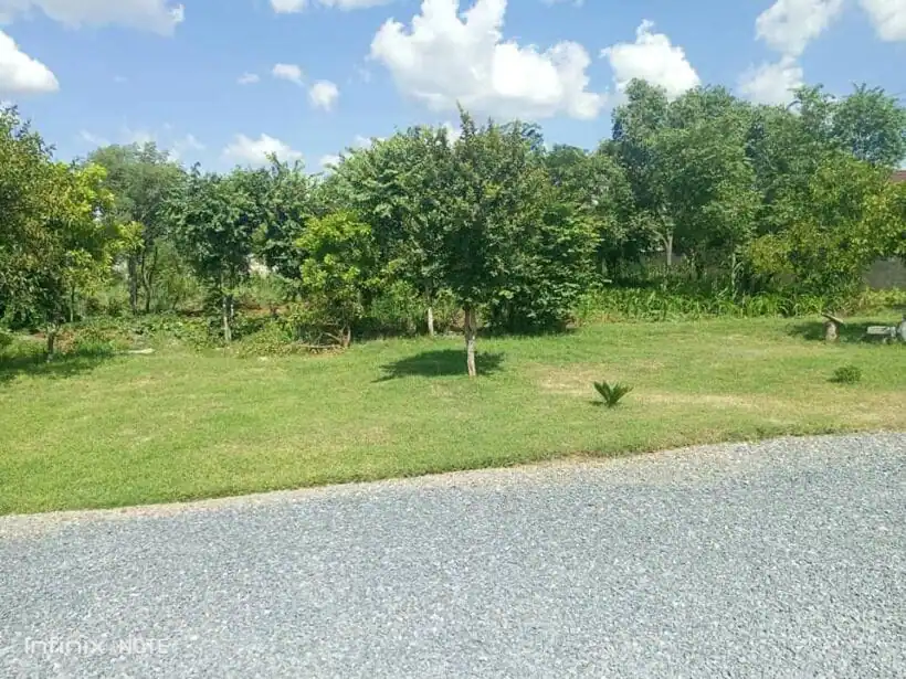 PLOT FOR SALE IN NYADARUA