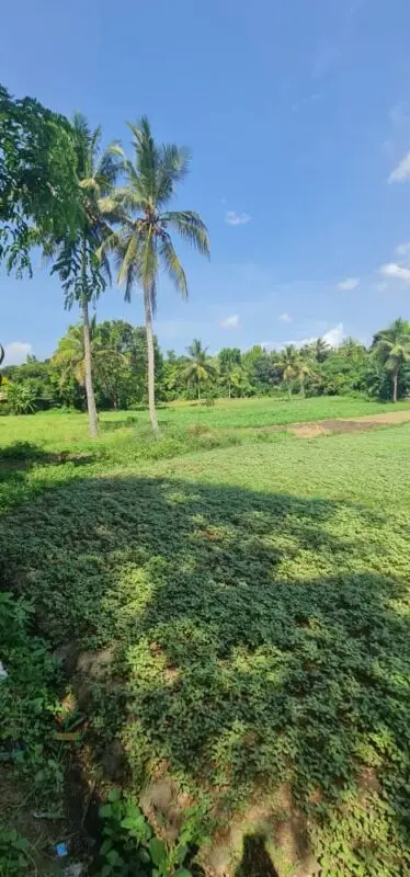 LAND FOR SALE IN MOMBASA