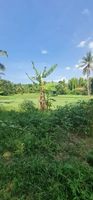 LAND FOR SALE IN MOMBASA