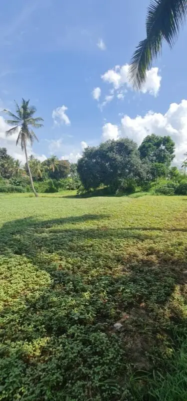 LAND FOR SALE IN MOMBASA