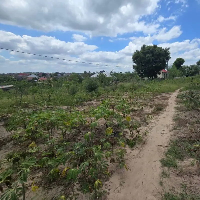 PLOT FOR SALE IN KAJIADO