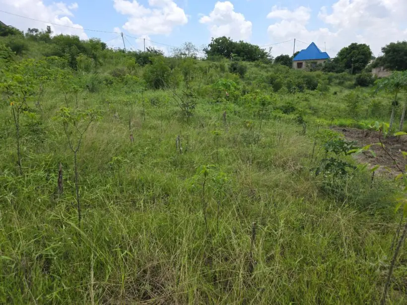 PLOT FOR SALE IN MALINDI