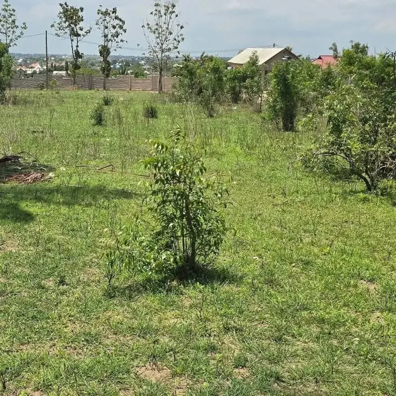 PLOT FOR SALE IN KILIFI